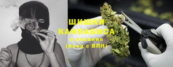 шишки Бугульма